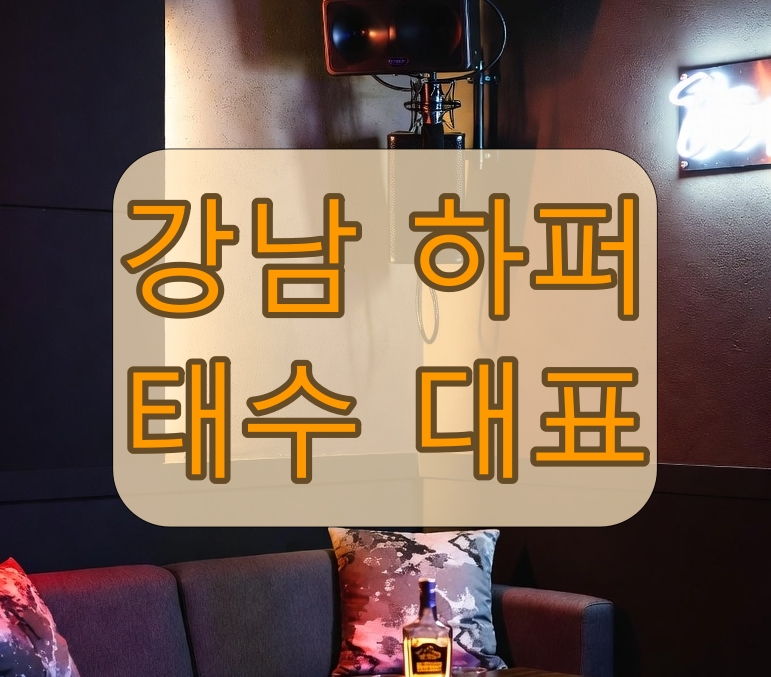 강남 하퍼 가성비